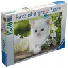 1500 Parça Beyaz Kedi Puzzle