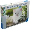 1500 Parça Beyaz Kedi Puzzle