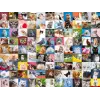 1500 Parça Puzzle 99 Kedi