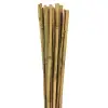 163702 Bambu 10lu 6-8 Mm 8 Mm X 60 Cm Destek Çubuğu 6