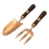 2li 4318002 Tulip Set