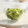 2li Orta Boy Salata Kasesi