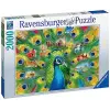 2000 Parça Tavus Kuşu Puzzle