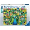 2000 Parça Tavus Kuşu Puzzle