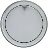 22 Pinstripe Clear Kick Derisi