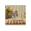25 cl cam sprey şişesi