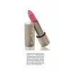 253 Spice Rose Magnetic Dream Ruj