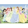 2x24 Parça Disney Prensesler Puzzle
