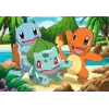 2x24 Parça Pokemon Puzzle