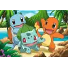 2x24 Parça Pokemon Puzzle