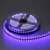 3 Çipli Şerit LED İç Mekan, Mavi, 5 m