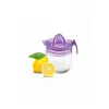 300 cc Limonluk