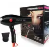 3000 Salon Professional Blow Dryer