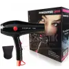3000 Salon Professional Blow Dryer