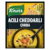 4 kişilik acılı cheddar çorbası, 74g