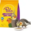 400 g Paraket Kuş Yemi