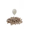 5 İnç Kum Bej Mini Balon 10 Adet