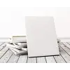50 X 80 Cm Profesyonel Tuval
