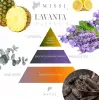 500 ml Lavanta Çamaşır Spreyi