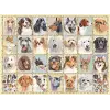 500 Parça Köpek Portreleri Puzzle