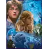 500 Parçalı Puzzle Harry Potter