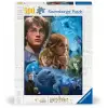 500 Parçalı Puzzle Harry Potter