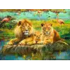 500p Puzzle Aslan Ailesi, Yapboz