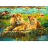 500p Puzzle Aslan Ailesi, Yapboz