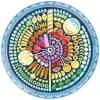 500p Puzzle Daire Şekerleme