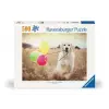 500pc Puzzle Balon Partisi