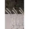 6lı Kavisli Cam Pipet Seti