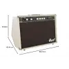 60w AF60 Gitar Amfisi