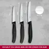 6.7113.34 Swiss Classic 3lü Bıçak Set, Siyah