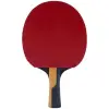 85037 Timo Boll Carbon Hazır Raket