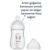 95302 Biberon, Çok Renkli