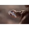 A1 8K 360° Drone