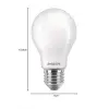 A60 E27 LED klasik ampul, 100W, FR WGD90 SRT4