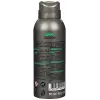 Active Sport erkek yeşil deodorant