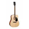 AD810 Ssb Akustik Gitar