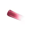 ADDICT LIP TINT