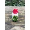 Agavoides Sukulent Mum Kalıbı (Silikon)
