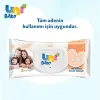 Aile Islak Mendil 12x90 1080 Yaprak
