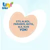 Aile Islak Mendil 12x90 1080 Yaprak