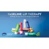 Aloe Vera Lip Care 4.8 gr