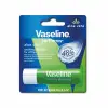 Aloe Vera Lip Care 4.8 gr