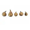 Altın kaplamalı reçine incir (5 parçalı set)