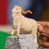 Angora Keçisi, Oyuncak Figür