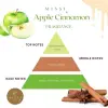 Apple & Cinnamon Yedek Esans 250 ml