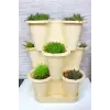 Arsimo Katlı Şanslı Yonca Tasarımlı 3 26.5 x 26.5 cm Krem Saksı