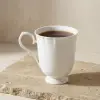 Aryıldız Voyage Kupa
